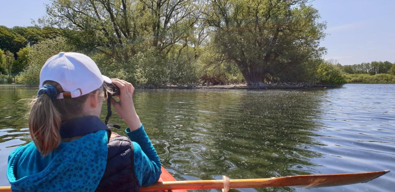 Ferienwohnungen Am Schwanensee Plön Extérieur photo
