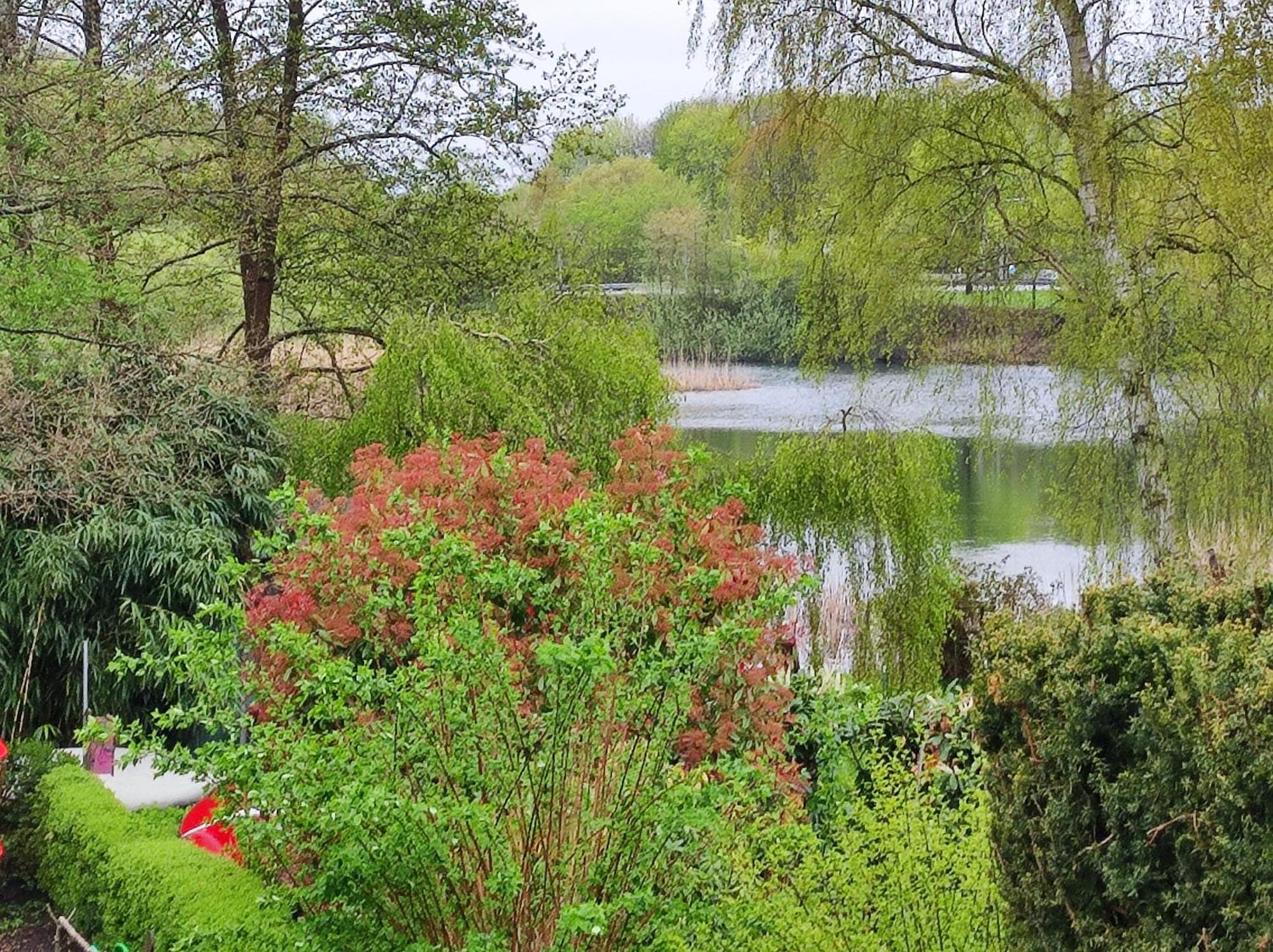 Ferienwohnungen Am Schwanensee Plön Extérieur photo